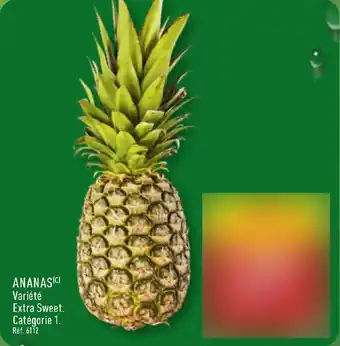 ALDI Ananas offre