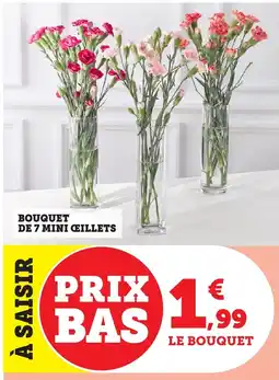 Bi1 Bouquet de 7 mini ceillets offre