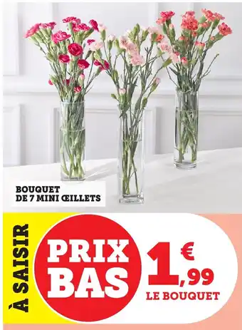 Bi1 Bouquet de 7 mini ceillets offre