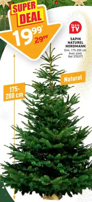 Trafic Sapin naturel nordmann offre