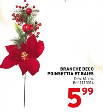 Trafic Branche deco poinsettia et baies offre