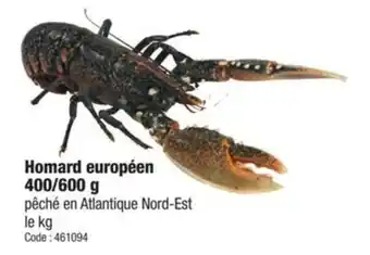 Promocash Homard européen offre