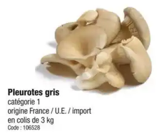 Promocash Pleurotes gris offre