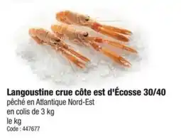 Promocash Langoustine crue côte est d'écosse offre
