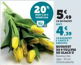U Express U Bouquet de 9 tulipes de glace offre