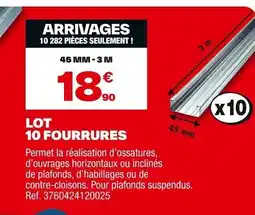Brico Dépôt Lot 10 fourrures offre