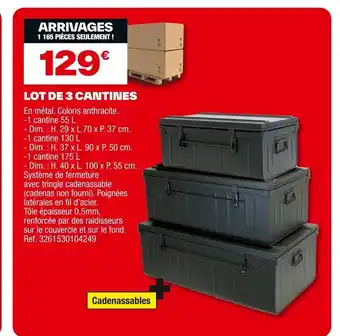 Brico Dépôt Lot de 3 cantines offre