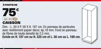 Brico Dépôt Caisson offre