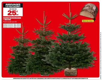 Brico Dépôt Sapin nordmann + büche offre