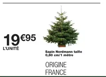Monoprix Sapin Nordmann taille offre
