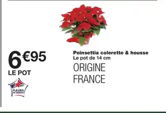 Monoprix Poinsettia colerette & housse offre