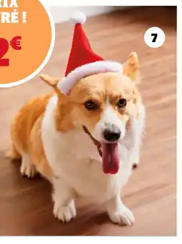 Gifi Bonnet pour chien offre