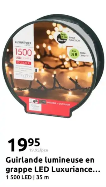 Action Guirlande lumineuse en grappe led luxuriance offre