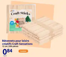 Action Bâtonnets pour loisirs créatifs craft sensations offre
