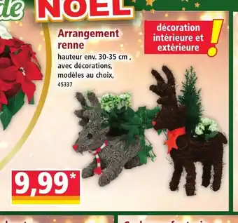 Norma Arrangement renne offre