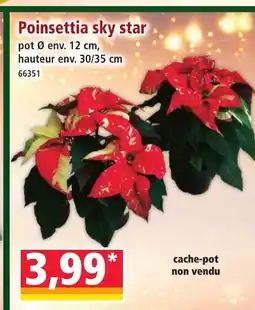 Norma Poinsettia sky star offre