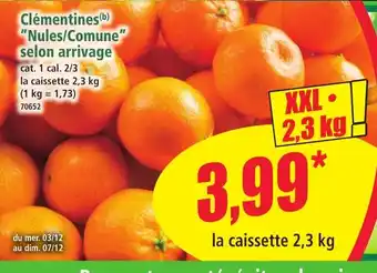 Norma Clémentines Nules/Comune selon arrivage offre