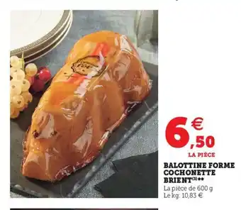 Super U Balottine Forme Cochonette Brient offre