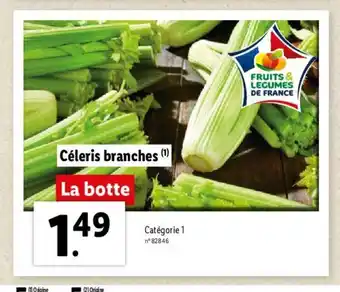 Céleris Branches