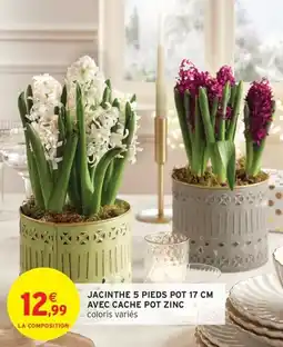 Intermarché Express Jacinthe 5 pieds pot avec cache pot zinc offre