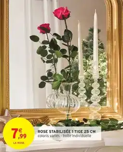 Intermarché Express Rose stabilisée 1 tige offre