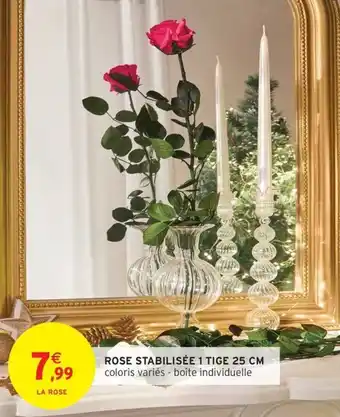 Intermarché Express Rose stabilisée 1 tige offre