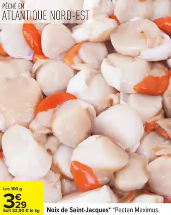 Noix de saint-jacques