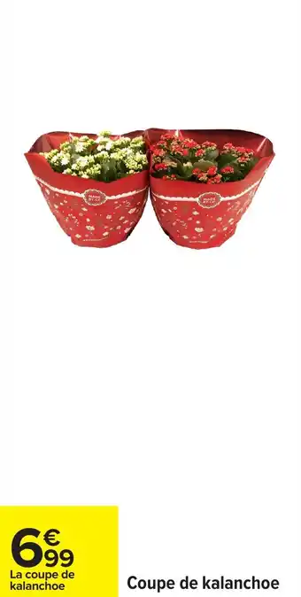 Carrefour Coupe de kalanchoe offre