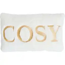 Carrefour Tex home coussin cosy offre
