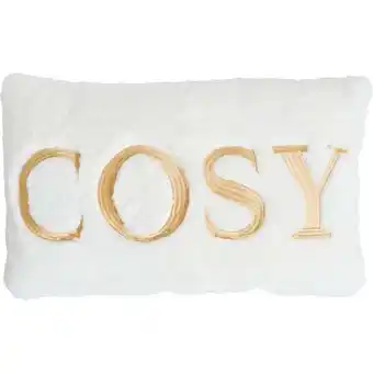 Carrefour Tex home coussin cosy offre