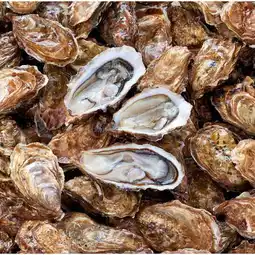 Carrefour Filiere qualite carf huîtres creuses filiere qualite carrefour offre