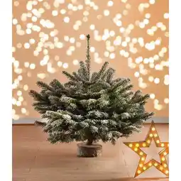 Carrefour Sapin givré offre