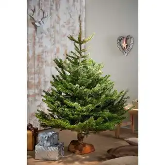 Carrefour Sapin nordmann offre