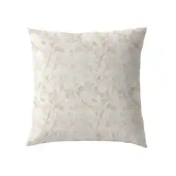 Carrefour Tex home coussin lunaria offre