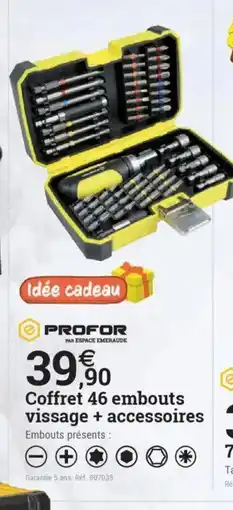 Espace emeraude PROFOR Coffret 46 embouts vissage + accessoires offre