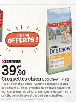 Espace emeraude PURINA Croquettes chien Dog Chow offre