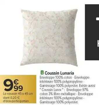 Carrefour Coussin lunaria offre