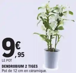 E.Leclerc Dendrobium 2 tiges offre