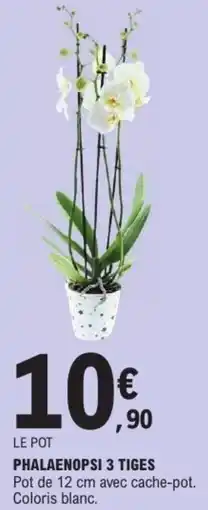 E.Leclerc Phalaenopsi 3 tiges offre