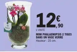 E.Leclerc Mini phalaenopsis 2 tiges dans un vase verre offre