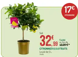 Botanic Citronnier 6 à 8 fruits offre