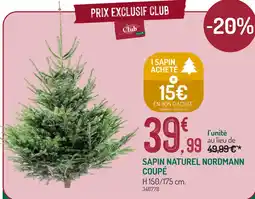 Botanic Sapin naturel nordmann coupé offre