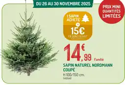 Botanic Sapin naturel nordmann coupé offre