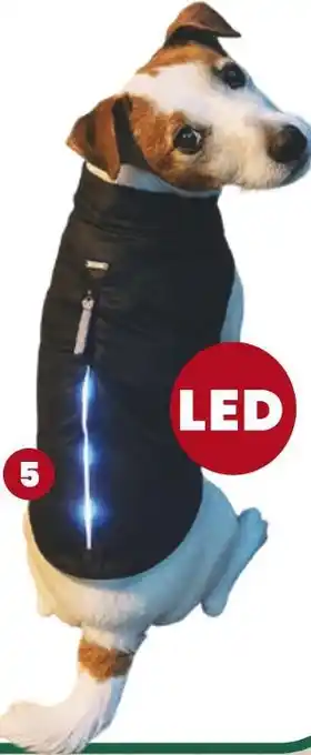 Animalis Wouapy manteau imper led noir pour chiens offre