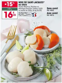 Croque Gel Noix de saint-jacques offre