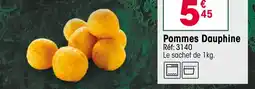 Croque Gel Pommes Dauphine offre