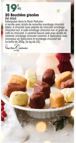 Croque Gel 20 Bouchées glacées offre