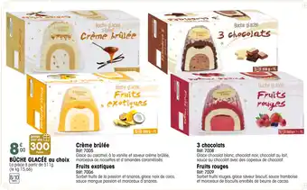 Croque Gel Bûche glacée offre