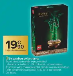 Carrefour Le bambou de la chance offre