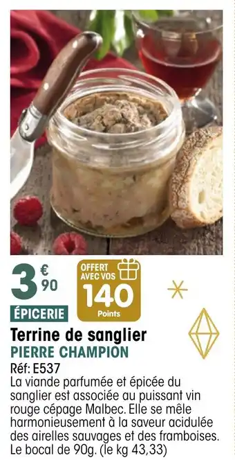 Croque Gel PIERRE CHAMPION Terrine de sanglier offre